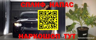 стаф Кулебаки