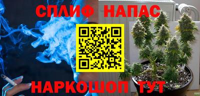 стаф Кулебаки