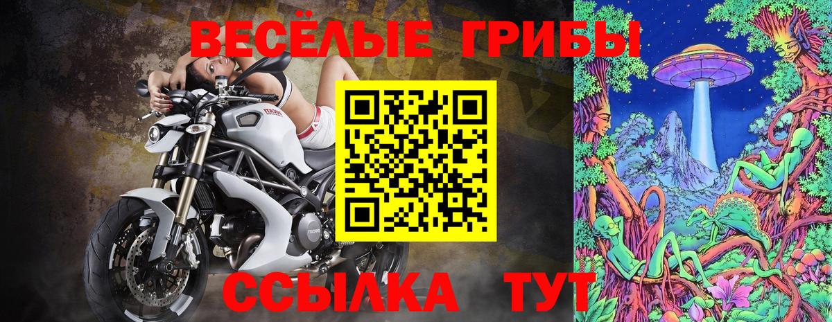 Елабуга  Галлюциногенные грибы мицелий  Вход с VPN 